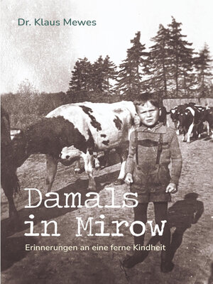 cover image of Damals in Mirow